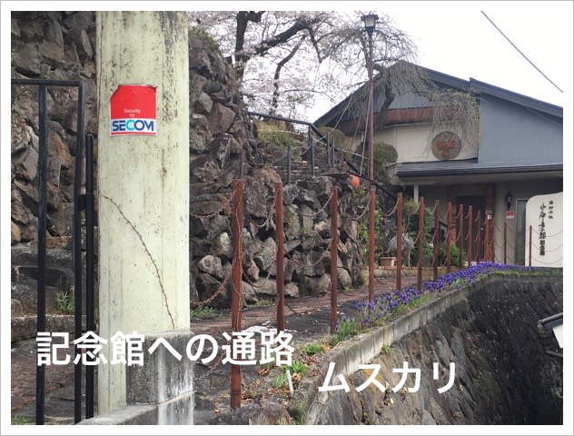 ॹ꤬餯ǰۤؤϩ