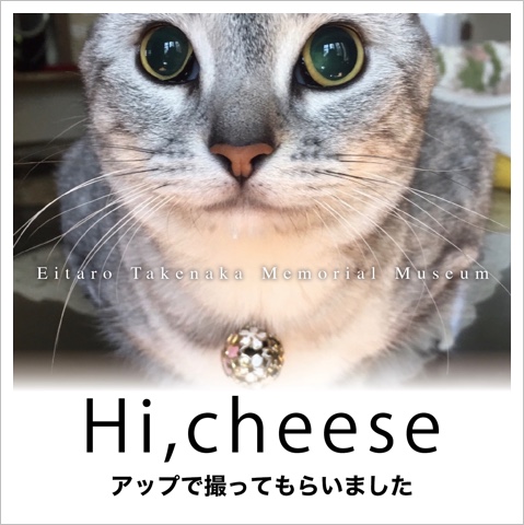 66671FB3-8C6C-4B2C-AE98-56897E254799.jpeg