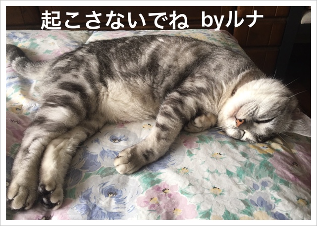 AA13F1EA-1361-40B0-BE3D-C83A051B6D99.jpeg AA13F1EA-1361-40B0-BE3D-C83A051B6D99.jpeg