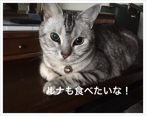 98CACBC0-9A9A-41FC-9C8B-9AE69CE68338.jpeg 98CACBC0-9A9A-41FC-9C8B-9AE69CE68338.jpeg