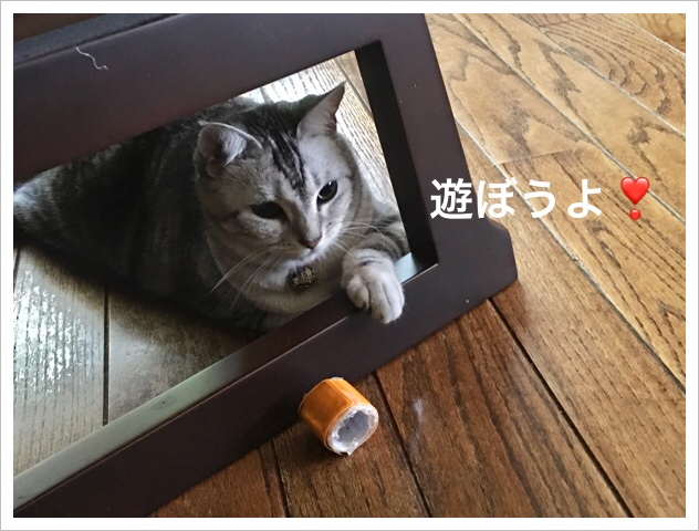 AADDF1B0-A394-4D23-9B35-658DEBBC2CF5.jpeg AADDF1B0-A394-4D23-9B35-658DEBBC2CF5.jpeg
