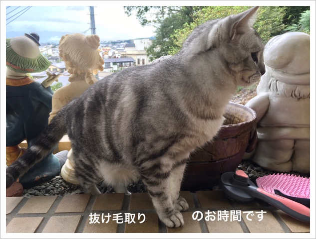 6FF91FAF-9BD1-450E-924F-22D6D8E845CD.jpeg