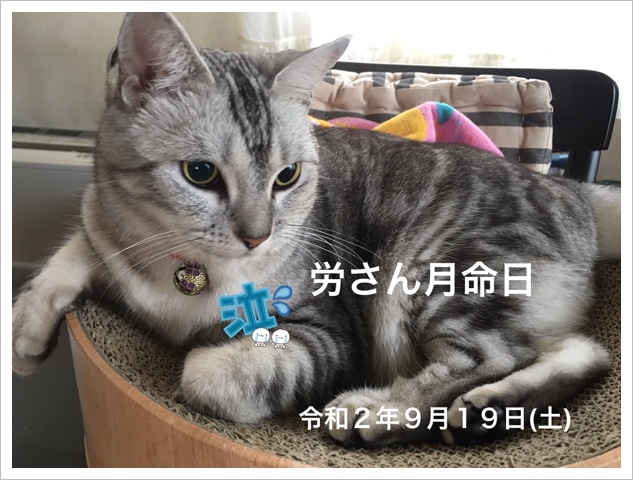 AB433402-3B8C-4476-A483-A70E8C3F7CDD.jpeg AB433402-3B8C-4476-A483-A70E8C3F7CDD.jpeg