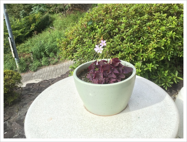 BF08B4C5-DFAF-41B3-BCB6-6B6267F53E1A.jpeg BF08B4C5-DFAF-41B3-BCB6-6B6267F53E1A.jpeg