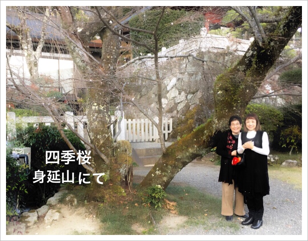 044497DE-4B9D-411D-A828-7DD315E73335.jpeg 044497DE-4B9D-411D-A828-7DD315E73335.jpeg