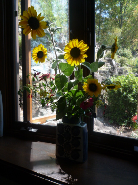 ҤޤH21.9.25.JPG