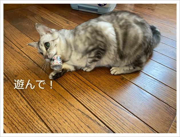 FC583CF9-6A44-46C5-ABCD-046614E96B1C.jpeg