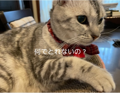 2BE7136E-DC49-427C-AC27-2315CEBDD349.jpeg