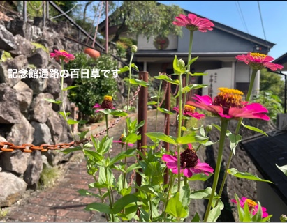 8071A9DF-AA6D-454D-B307-D0EA2B5CDA83.jpeg