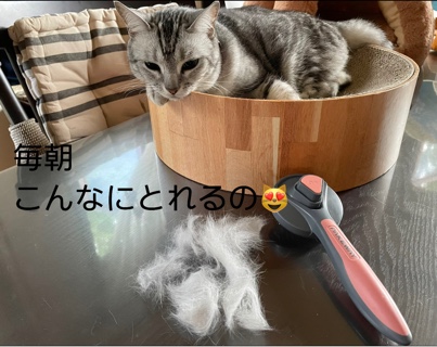 F8CC86AC-7A83-44DD-8A19-EA593FCCB81B.jpeg