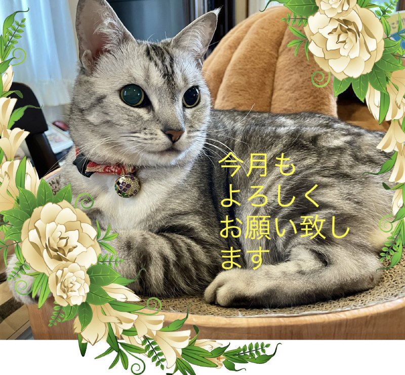 EEB51079-AB24-4191-8A6C-97A1C96DA0EE.jpeg