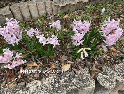 30D1218C-C27F-4140-95C8-3A228DB224AF.jpeg
