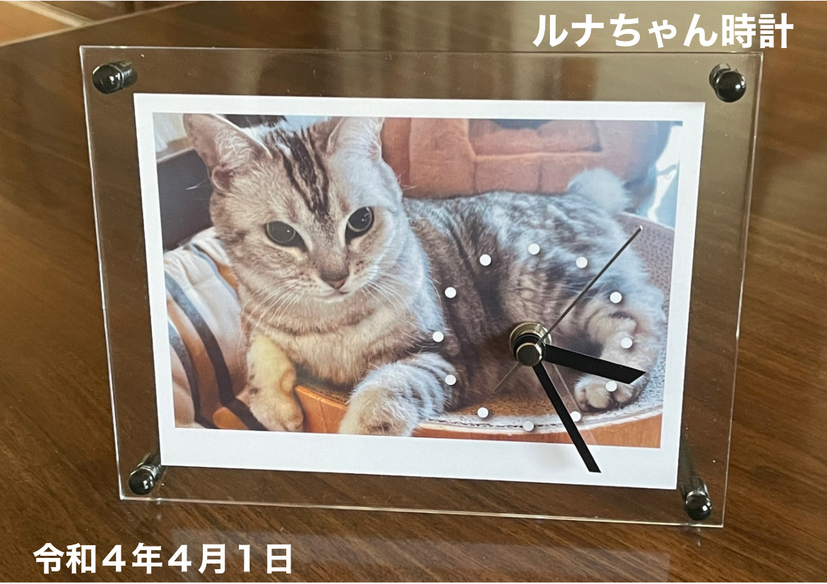ルナちゃん時計 A2F4-E89727F5BA3D.jpg