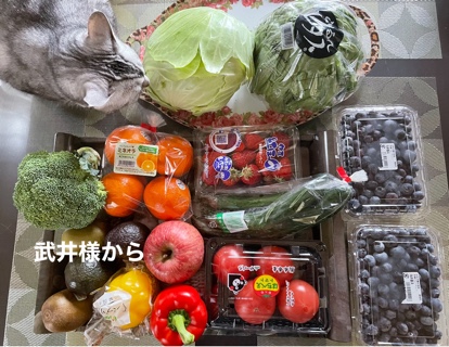 武井様から 2ED25B1C-D10D-4D38-BC50-15507ED238B3.jpeg