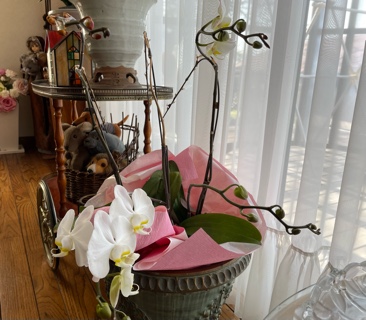 C7F82169-3AB6-41D5-9F9F-30B2D596875F.jpeg