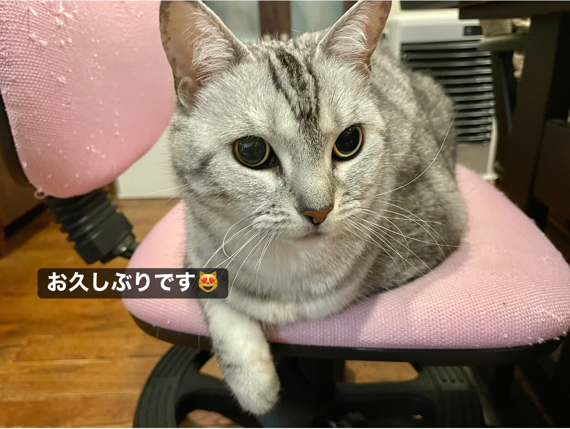 お久しぶりです by ルナ B91CD289-38B2-4D97-90E0-8DA19F294C05.jpeg