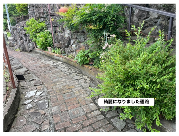 綺麗になりました通路 8BEF6128-1543-42FE-9FB1-F6C45B5075D3.jpeg