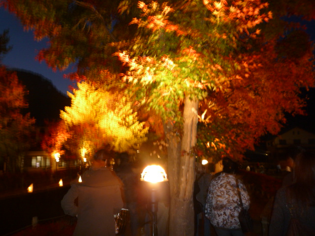 H.21.11.8.JPG