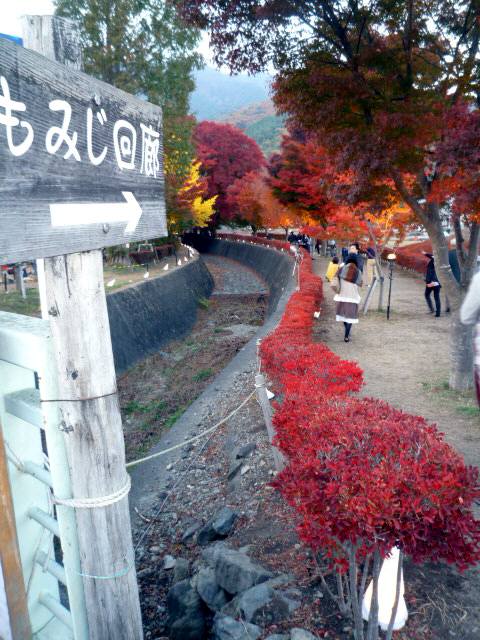 P1050356.JPG