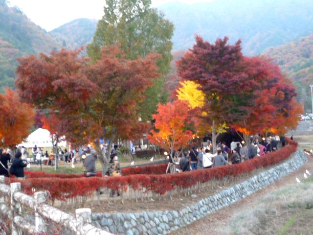 P1050357.JPG
