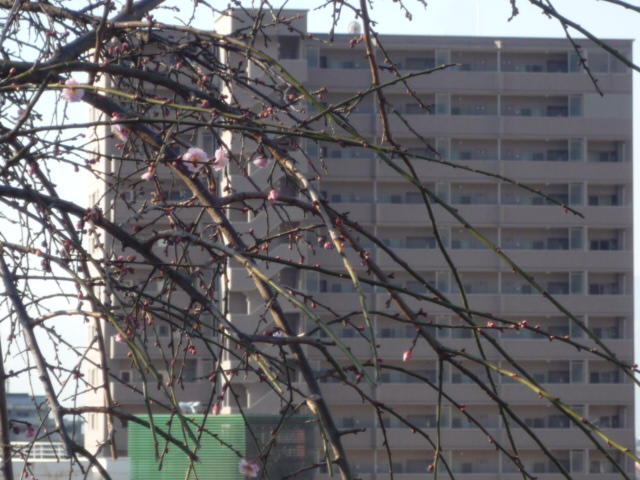 ǰH22.2.21.JPG