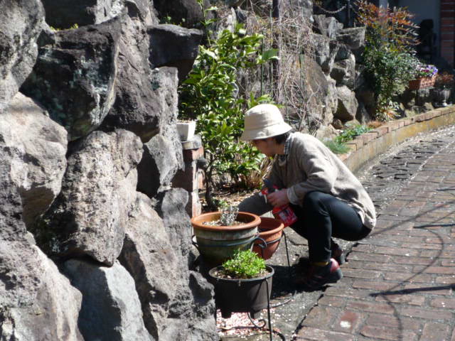 A.AH22.3.11.JPG