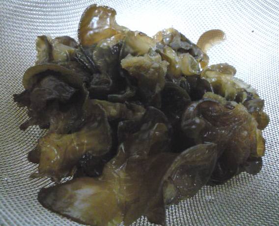 餲.H22.4.24.JPG