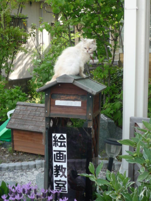 H22.5.12.JPG