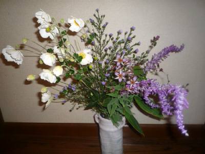 P1080516.JPG