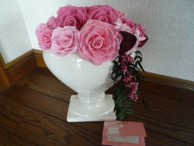 先生からH23.4.18.JPG 先生からH23.4.18.JPG