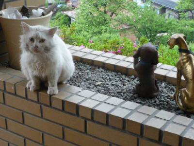P1100050.JPG