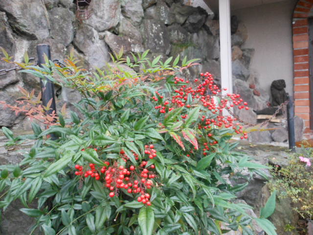 ŷH23.11.6.JPG