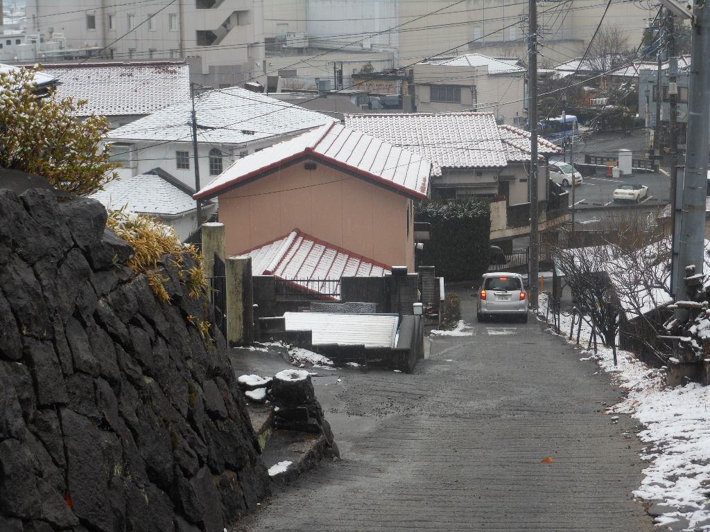 ꣹ʬH24.1.20.JPG