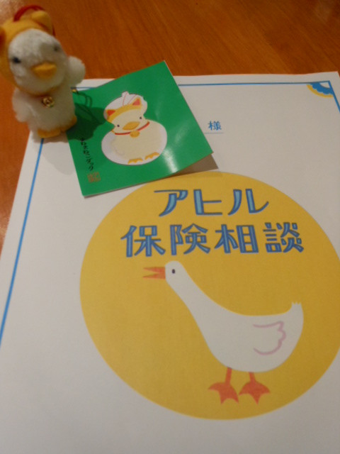 DSCN0901.JPG