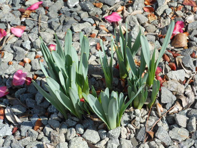 DSCN0967.JPG