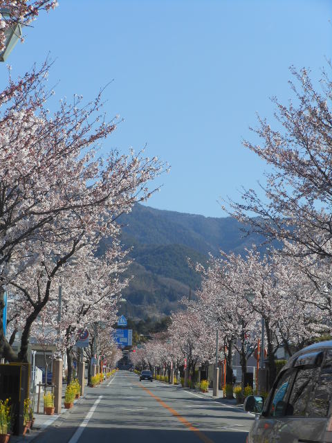 ĿҤظƻϩH24.4.8.JPG