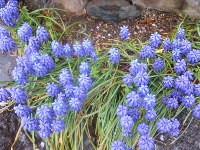 DSCN1238.JPG