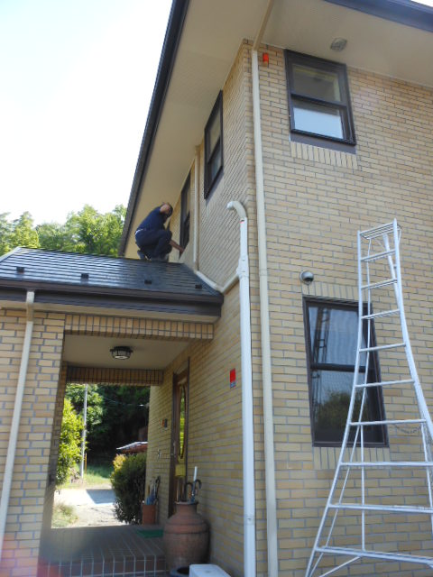 DSCN1566.JPG