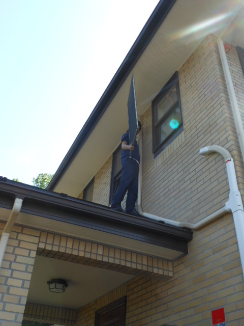 DSCN1565.JPG