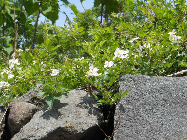 ХH24.5.14.JPG