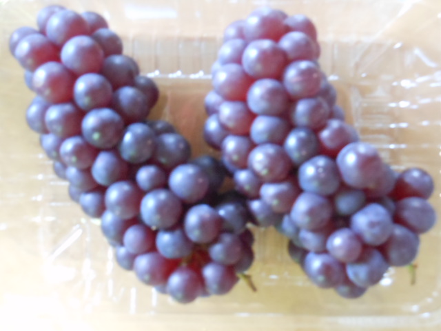 masa様からh24.5.31.JPG masa様からh24.5.31.JPG