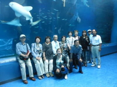 DSCN1970.JPG DSCN1970.JPG