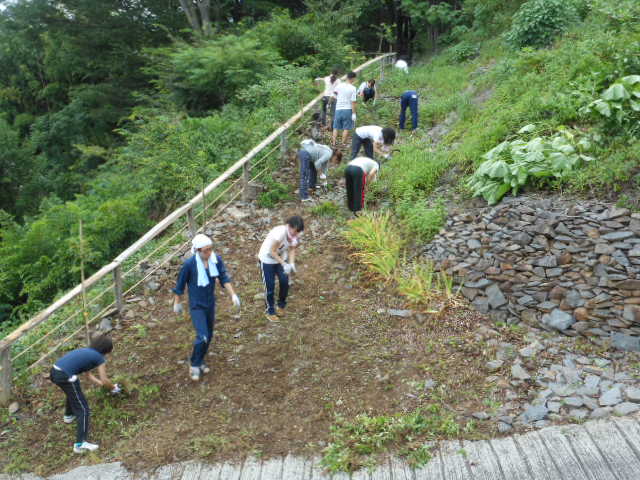 H.24.8.15遊歩道の草取り.JPG H.24.8.15遊歩道の草取り.JPG