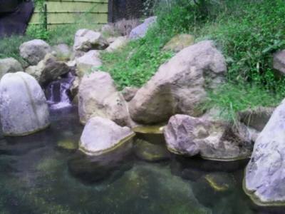 20121002_141303.jpg