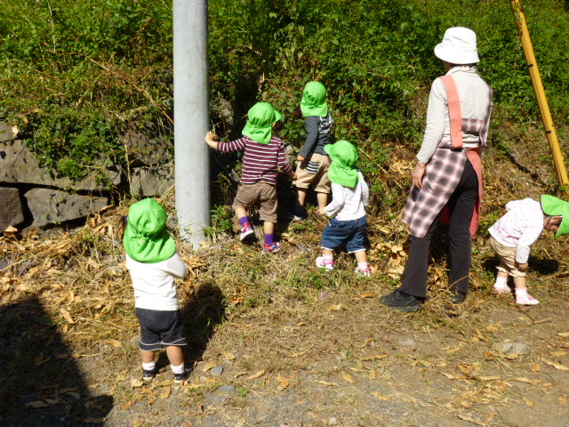 P1010093.JPG