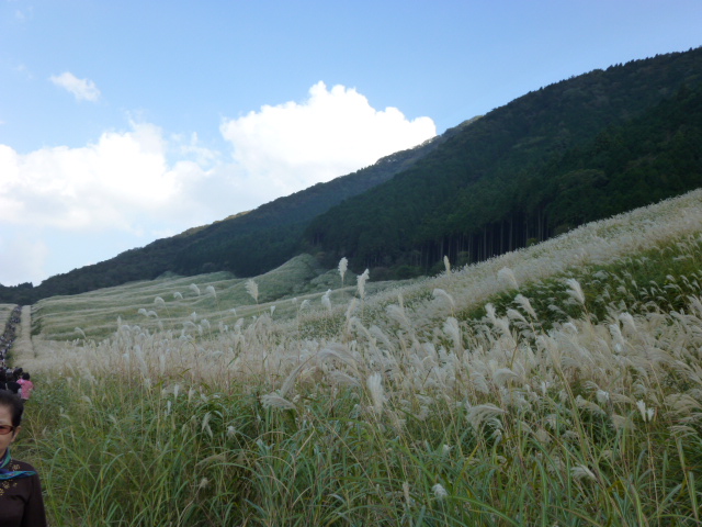 P1010152.JPG