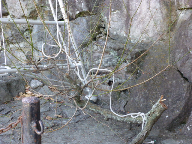 P1010664.JPG