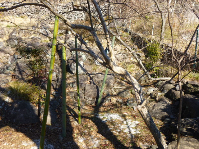 P1010932.JPG