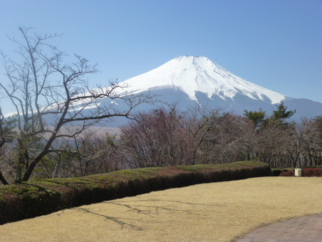 P1020119(1).JPG