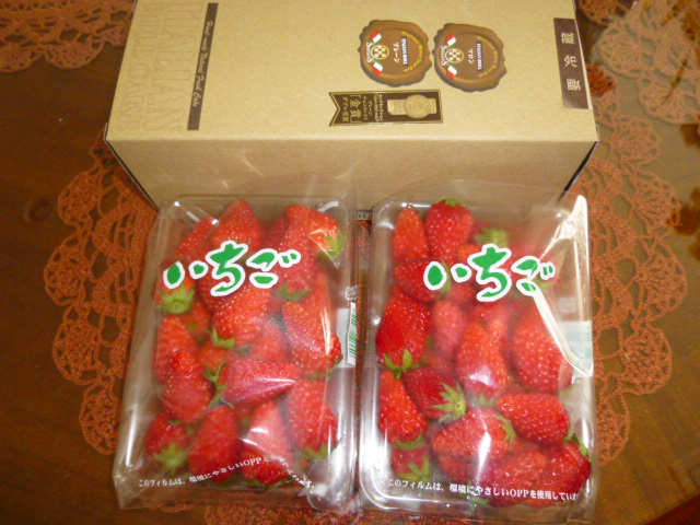 P1020610.JPG